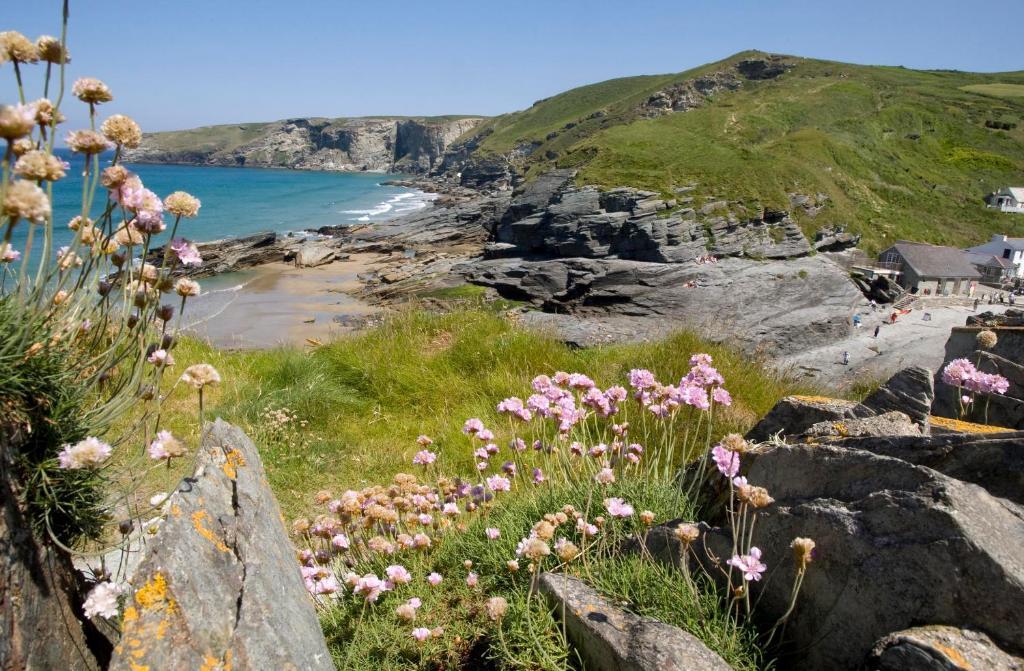 Port William Inn Tintagel Kültér fotó